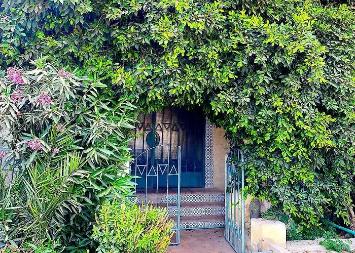 Safari With Wi Fi Center Apartman Gurdaka